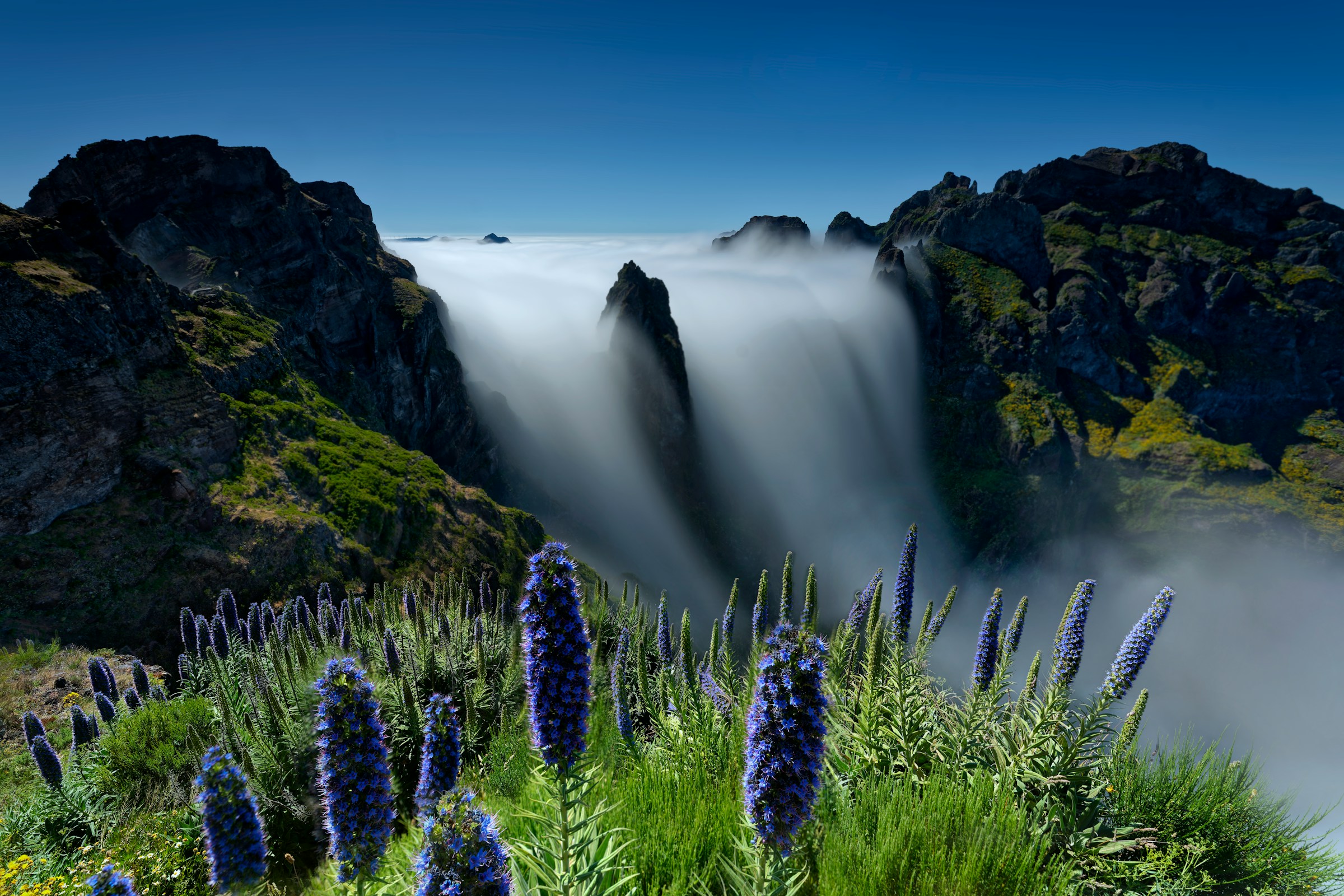 Lukas Prenner Test Vidoegraphie GmbH - Bild 2